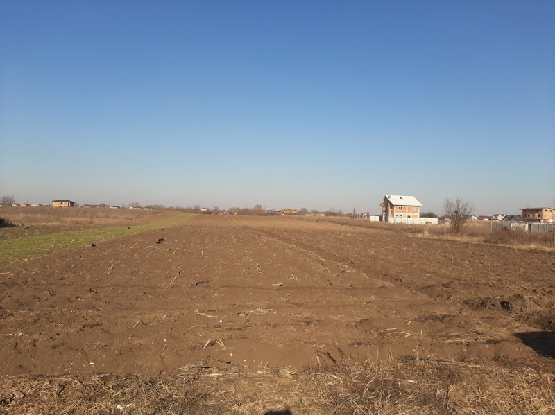 Comuna Berceni, Mamina,