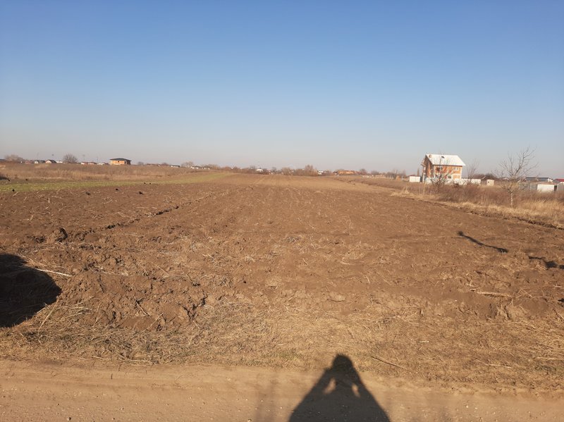 Comuna Berceni, Mamina,